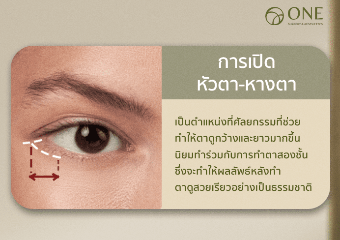 เปิดหางตา