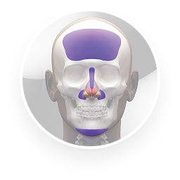 นวัตกรรมใหม่! 3D Printing