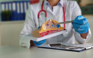 A surgeon explaining the breast anatomy before breast augmentation